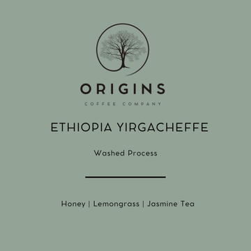 Wholesale | Ethiopia Yirgacheffe